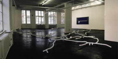 Bauform-Negativ (Talpa europaea)